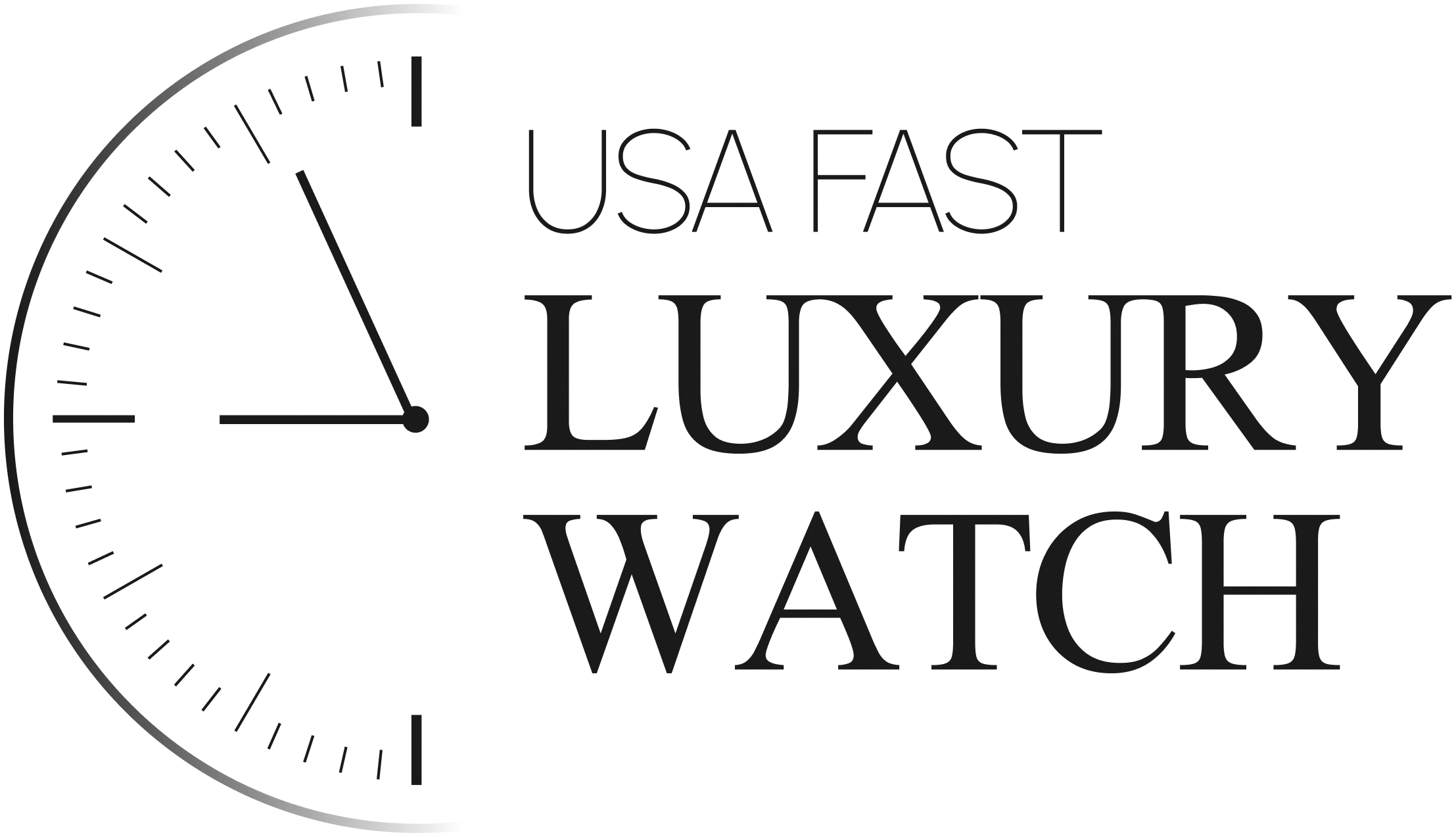 USA Fast Luxury Watch